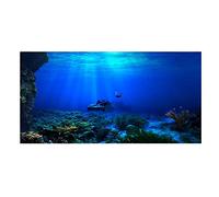 Rosvola Aquarium Fish Tank Background 3D Effect Pictures, PVC Adhesive Aquarium Underwater Seaworld Backdrop Decorations Poster(122 * 61cm)