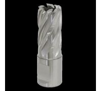 Sealey Rotabor Weldon Shank HSS Mag Drill Cutter 17mm 25mm