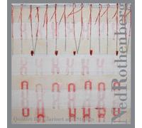 Rothenberg, Ned - Rothenberg: Quintet For Clarinet And Strings