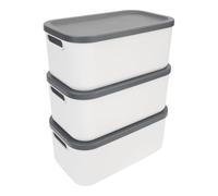 Rotho Albula Set Box 12l 3 pcs. ALBULA light, Plastic (PP) BPA-free, white, 12l (46.3 x 26.3 x 32.4 cm)