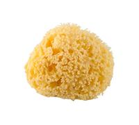 Rotho Babydesign Mediterranean Sponge, Natural Product, Diameter: 9-10 cm, Yellow