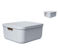 Rotho Box With Lid Albula In Recycled Polypropylene, BPA Free, Cm