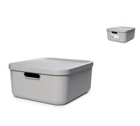 Rotho Box with Lid Albula Polypropylene Recycled, Error Free Bpa, CMS