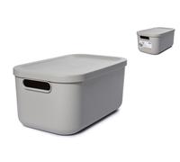 Rotho Box with Lid Albula Polypropylene Recycled, Error Free Bpa Free, CM