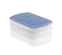 Rotho cold cuts box 3 compartments blue
