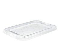 Rotho, Evo Easy, Cover, Plastic (PP) BPA-free, transparent, 17,9 x 12,2 x 1,1 cm