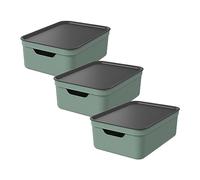 Rotho Jive Storage Boxes with Lids 3 x 10 L Stackable Grip Openings Green | Storage box set for shelves, toy storage, grip openings, lids for stacking, nesting design, recycled PP, made in Europe