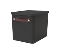 Rotho MyPaper Archive box document organiser. MY PAPER Plus, Plastic (PP) BPA-free, black, (40.0 x 29.2 x 29.8 cm)