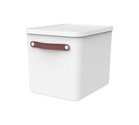Rotho MyPaper Archive box document organiser. MY PAPER Plus, Plastic (PP) BPA-free, white/blue, (40.0 x 29.2 x 29.8 cm)