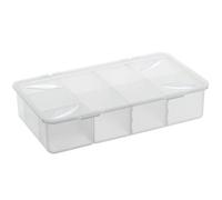 Rotho, Snappy, Storage box with dividers, Plastic (PP) BPA-free, transparent, 3l (33 x 19 x 7,6 cm)