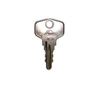 Roto TS8215 Original Key 1G1 Small 37 mm for Lockable Handles Rotoline, Silver, 37 mm
