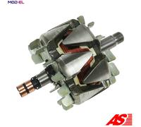 AS-PL Alternator Rotor AR0041