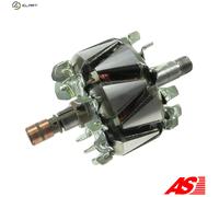 ROTOR ALTERNATOR AR0064