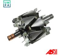 AS-PL ALTERNATOR ROTOR AR1008