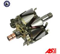 ROTOR ALTERNATOR AR3009