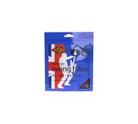 Rotosound RS66LDN Nickel Standard Gauge Roundwound Bass Strings (45 65