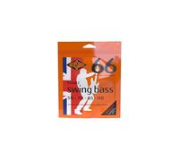 Rotosound RS66LE Stainless Steel Heavy Gauge Roundwound Bass Strings (50