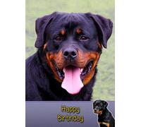 Rottie/Rottweiler Dog Birthday Card