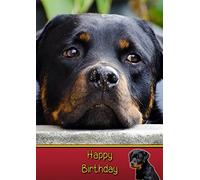 Rottie/Rottweiler Dog Birthday Card