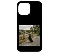 Rottweiler Country Path Farm Gate Guard Scene Case for iPhone 13 Pro Max