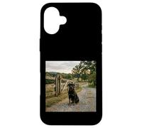 Rottweiler Country Path Farm Gate Guard Scene Case for iPhone 16 Plus