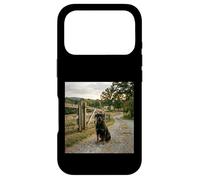 Rottweiler Country Path Farm Gate Guard Scene Case for iPhone 17 Pro