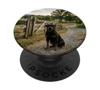 Rottweiler Country Path Farm Gate Guard Scene PopSockets Adhesive PopGrip