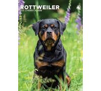 Rottweiler Dog 2026 Calendar, A3, Wirobound, Full Colour
