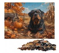 Rottweiler Dog with Pumpkins and Autumn Leave Jigsaw Puzzle, 1000 Pieces | New Year puzzle activity: home hobby for puzzle fans over several sessions.
