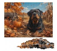 Rottweiler Dog with Pumpkins and Autumn Leave Jigsaw Puzzle, 500 Pieces | Jigsaw Puzzle: structured assembly from border to image details in spare time.