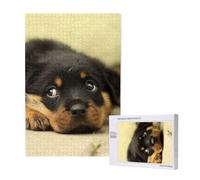 Rottweiler Dogs Cute Dogs Puppy Pets Small,1000 Pieces Wooden Jigsaw Family Game Jigsaw Puzzles for Adults Teens