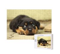 Rottweiler Dogs Cute Dogs Puppy Pets Small,300 Pieces Wooden Jigsaw Family Game Jigsaw Puzzles for Adults Teens Home Decor