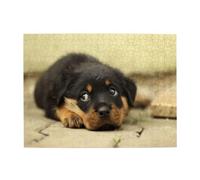 Rottweiler Dogs Cute Dogs Puppy Pets Small,500 Pieces Puzzles for Adults-Wooden Jigsaw Puzzle for Adults Elderly