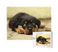 Rottweiler Dogs Cute Dogs Puppy Pets Small,500 Pieces Wooden Jigsaw Family Game Jigsaw Puzzles for Adults Teens Home Decor