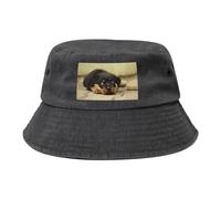 Rottweiler Dogs Cute Dogs Puppy Pets Small, Bucket Hat Adult Fisherman's Hat Runner Cap Fisherman Hats Sun Hat