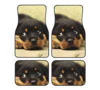 Rottweiler Dogs Cute Dogs Puppy Pets Small,Car Floor Mats Set of 4,Vehicle Floor Rugs Non-Slip Auto Foot Mats Car Accessories