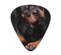 Rottweiler Loving Confident And Loyal,12 Pcs Guitar Pick,3 Different Thickness Plectrums for Acoustic Guitar Bass Ukulele (0.46mm 0.96mm 0.71mm)