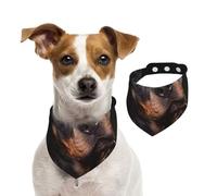Rottweiler - Loving Confident And Loyal,Dog Bandanas Cotton Pet Scarf Adjustable Bibs for Pet,L