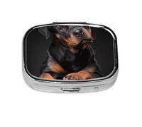 Rottweiler Loving Confident and Loyal,Meta Pill Box 2 Compartment Medicine Case,Portable Organizer,Rectangle Meta Portable Organizer Pill Box 106 Compartment Medicine Case