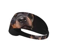 Rottweiler - Loving Confident And Loyal,Sports Sweatband for Unisex Multi Headband Elastic Exercise Hairband