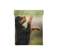 Rottweiler Pets Puppy Dogs Bokeh, Squeeze Top Wallet Women Storage Bag Small Coin Purse Change Pouch
