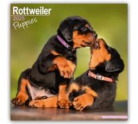 Rottweiler Puppies 2025 Square Wall Calendar | Dog Breed, Puppy Calendar