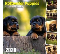 Rottweiler Puppies 2026 Calendar: Playful pups full of energy and charm