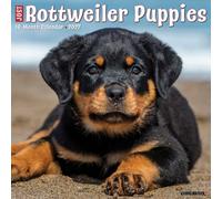 Willow Creek Press, Just Rottweiler Puppies 2027 Wall Calendar