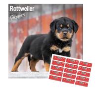 Rottweiler Puppies Calendar 2026 with Organisational Stickers