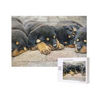 Rottweiler Sleeping Dogs Pets Puppies Small,300 Pieces Wooden Jigsaw Family Game Jigsaw Puzzles for Adults Teens Home Decor