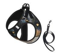 Rottweiler Sleeping Dogs Pets Puppies Small,Pet Harness,Adjustable Reflective Dog Harness,Pet Leash Vest,M