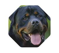 Rottweiler Wallpaper Drink Coasters Set Of 6, Leather Coasters Waterproof Heat Resistant Perfect For Common Size Glass Coffee Cup & Mug