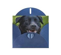 Rottweiler Wallpaper Horizontal Full Single-Sided Printing Pearlescent Paper Birthday Halloween Christmas Halloween Birthday Party Holiday Greeting Card