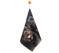 Rottweiler Wallpaper Kitchen Towels Set -1PCS Super Absorbent Hand Towels, Soft Face Towel Set with Hanging Loop Lightweight Quick Dry Microfiber Dish Towels for Yoga Camping Hotel Spa Travel